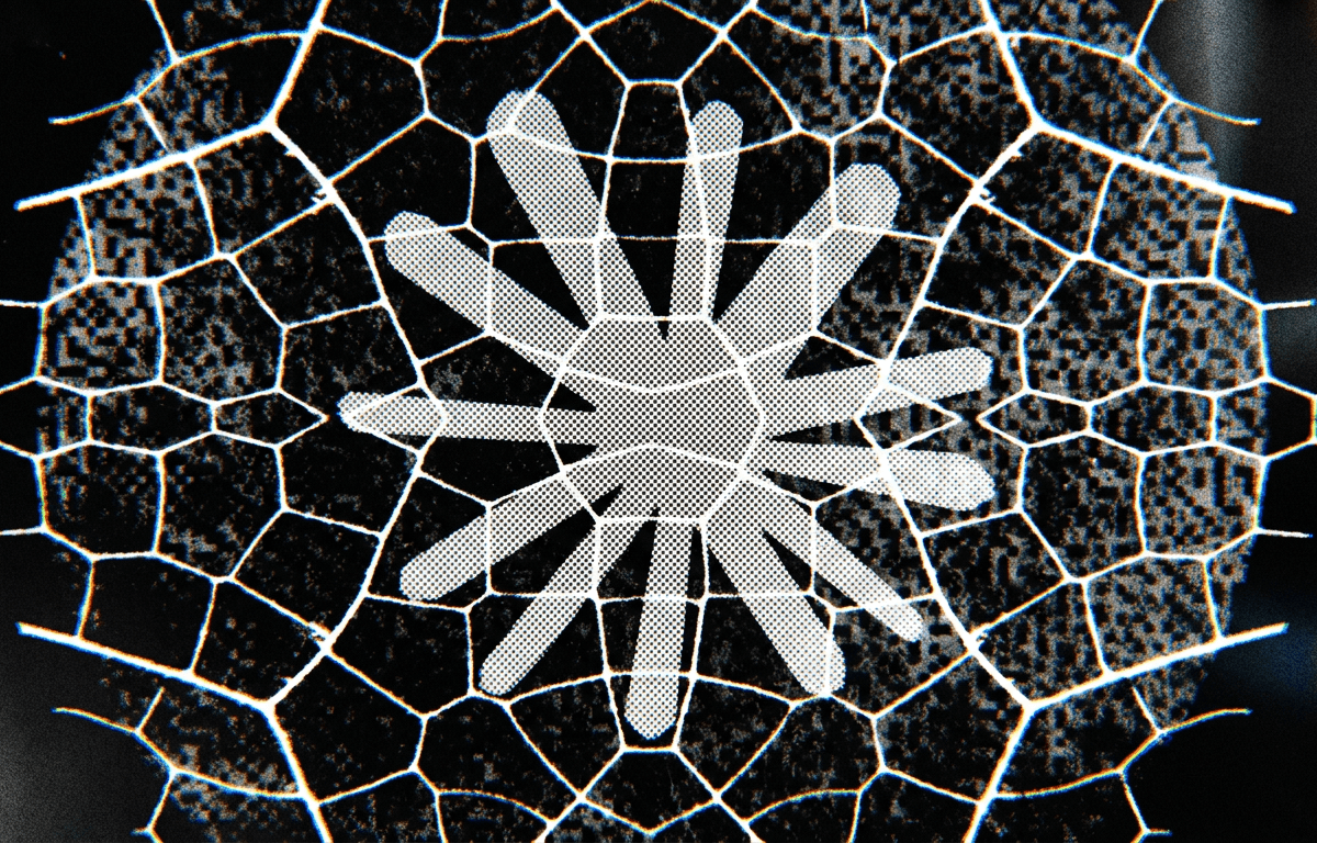 Anthropic Study Shows AI Can Build Exploits in Hours, Not Weeks