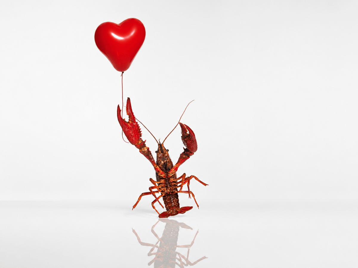 Ben Guez Uses OpenClaw to Boost Instagram Engagement