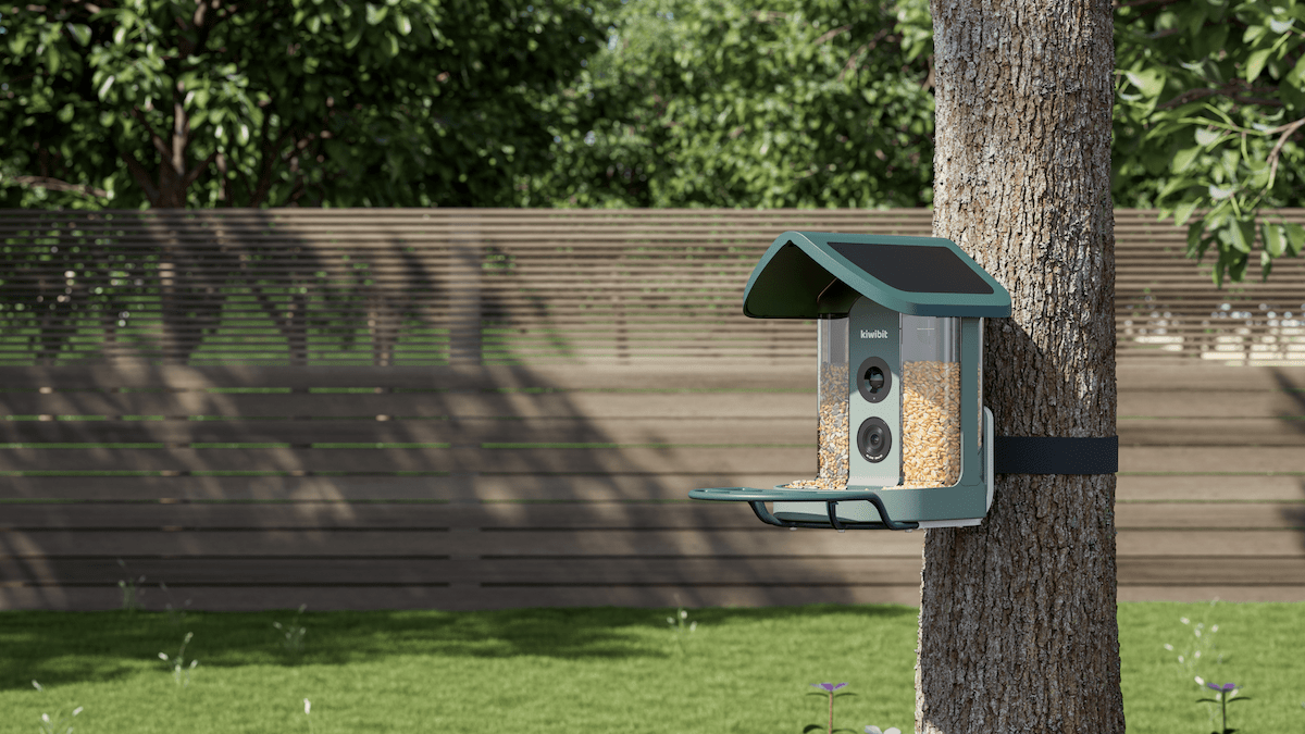 Kiwibit AI Bird Feeder Tracks 6 Species in Backyard